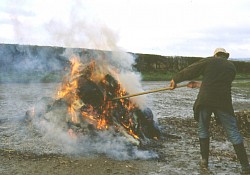 Burning the waste material on a dry day with no wind