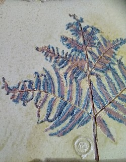 Detail of Bracken Platter with local ochre and cobalt