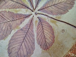 Conker Leaf detail. Stoneware and ochre